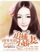 宠溺无边,追捕小娇妻