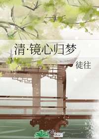 镜心劫