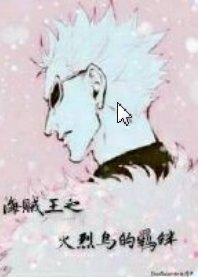 （海贼王同人）海贼王之火烈鸟的羁绊